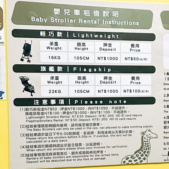 Taipei Zoo with Kids and Grandparents: How We Explored Comfortably