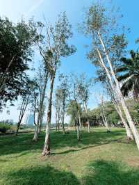 Taman Tasik Permaisuri: A Serene Escape for Morning Jogs and Relaxation