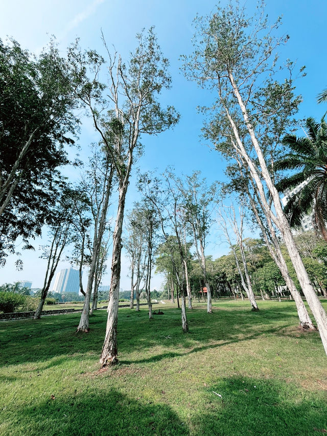 Taman Tasik Permaisuri: A Serene Escape for Morning Jogs and Relaxation