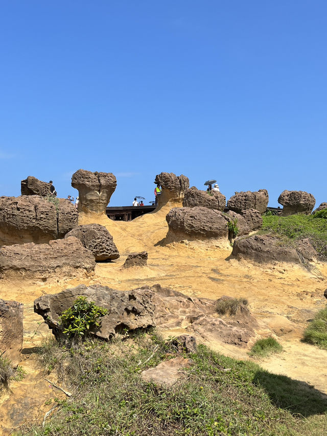 🍄Alien Landscape in Taiwan? Welcome to Yehliu's Mushroom Rocks!