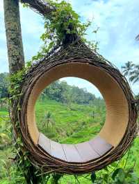 Tegallalang Rice Terraces: Nature’s Beautiful Staircase
