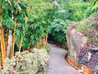Photosynthesis and Panic: A Day at The Habitat