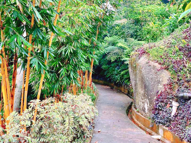 Photosynthesis and Panic: A Day at The Habitat