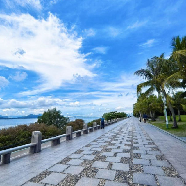 【中国/深セン湾公園】
