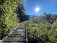 Quiet Majesty on the Trail to Yushan West Peak