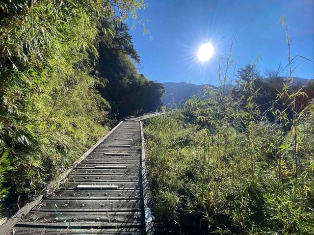 Quiet Majesty on the Trail to Yushan West Peak