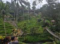 A Memorable Visit to Ubud, Bali