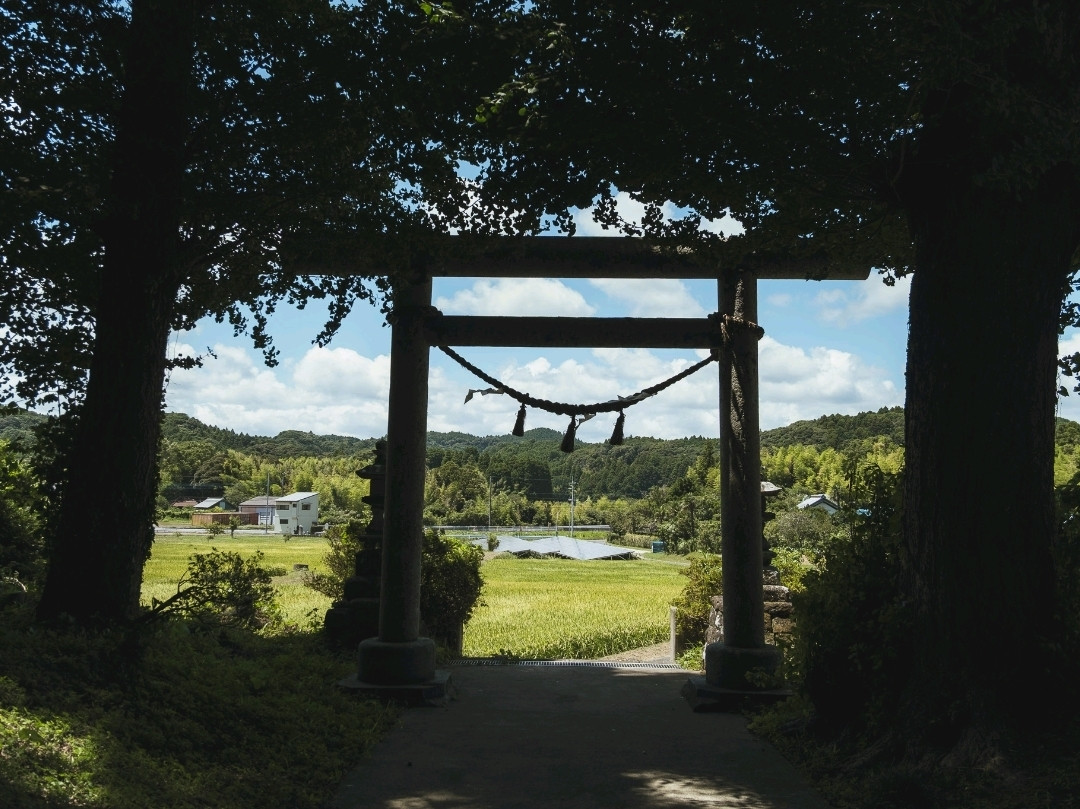 千葉】勝浦市で田んぼのなかにひっそりとある神社 | Trip.com 勝浦