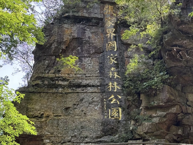 🍃 Zhangjiajie National Forest Park: A Breath of Fresh Air! ⛰️