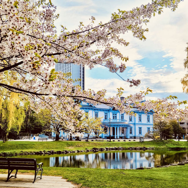 🌸 Nakajima Park: A Solo Traveler’s Urban Oasis in Sapporo! 🌿 🌸 Nakajima Park: A Solo Traveler’s Urban Oasis in Sapporo! 🌿