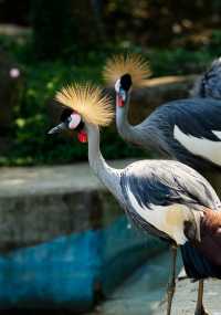 自然奇趣—南寧動物園