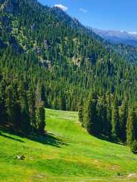 Tianshan Tianchi: A Priceless View with a Price Tag