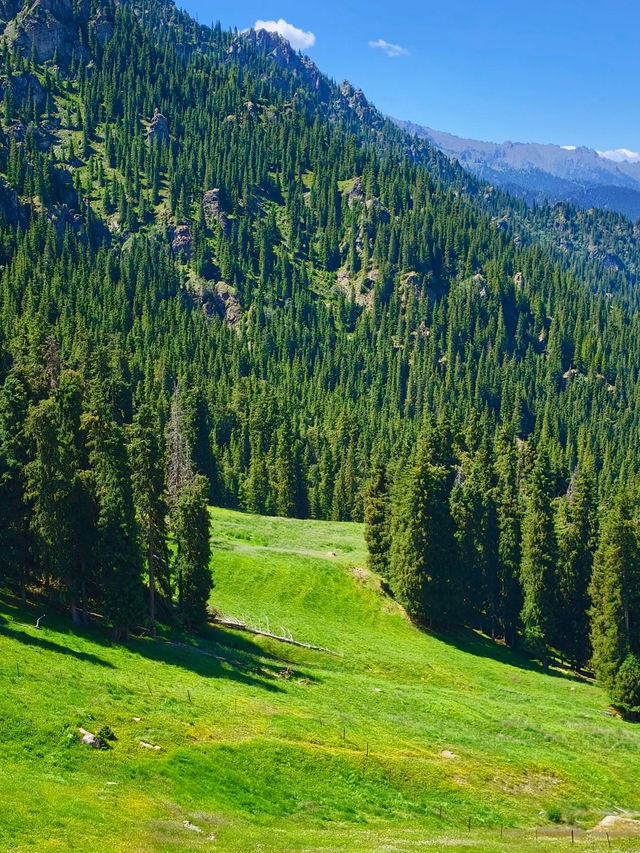 Tianshan Tianchi: A Priceless View with a Price Tag
