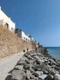 Timeless Charm of the Kasbah of Hammamet