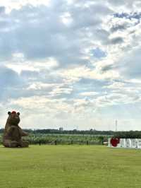 Jiabei Country Park Travel Guide｜A Floral & Countryside Escape Near Shanghai
