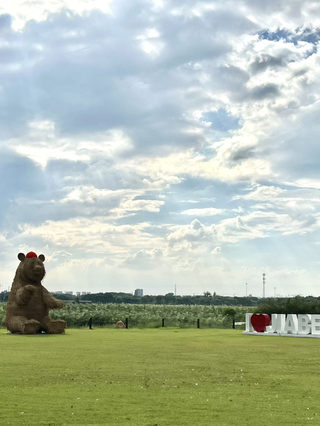 Jiabei Country Park Travel Guide｜A Floral & Countryside Escape Near Shanghai