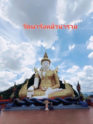 #행운없이할인받기 왓 파랑 미 와나람(Wat Pha Rang Mi Wanaram)은 피차눌록 주 노엔 마프랑 구 반 뭉 소구역에 위치한 사원으로, 노엔 마프랑 구 특유의 경관을 자랑하는 가파르고 그림 같은 석회암 산맥 덕분에 자연의 아름다움에 흠뻑 빠져 있습니다. 이 사원의 가장 큰 특징은 아름답고 평화로우며 그늘진 동굴 환경입니다. 피차눌록 주의 주요 관광 명소이자 명상 명소입니다.

왓 탐 파랑 미는 이 동굴에서 담마를 수행했던 방랑 승려의 매혹적인 이야기를 담고 있습니다. 방문객들은 고요한 분위기와 아름다운 자연을 만끽하며, 도시의 번잡함에서 벗어나 명상을 하고 정신을 단련하고자 하는 사람들에게 인기 있는 곳입니다. 또한, 석회암 산맥과 주변 자연을 한눈에 조망할 수 있는 전망대도 있습니다.

위치: https://goo.gl/maps/Sqm5q7mvVc9FuXDg6

