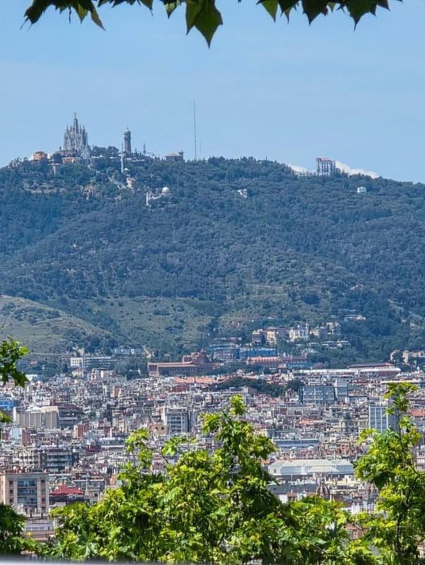 Vibrant Streets and Artistic Wonders in Barcelona Vibrant Streets and Artistic Wonders in Barcelona