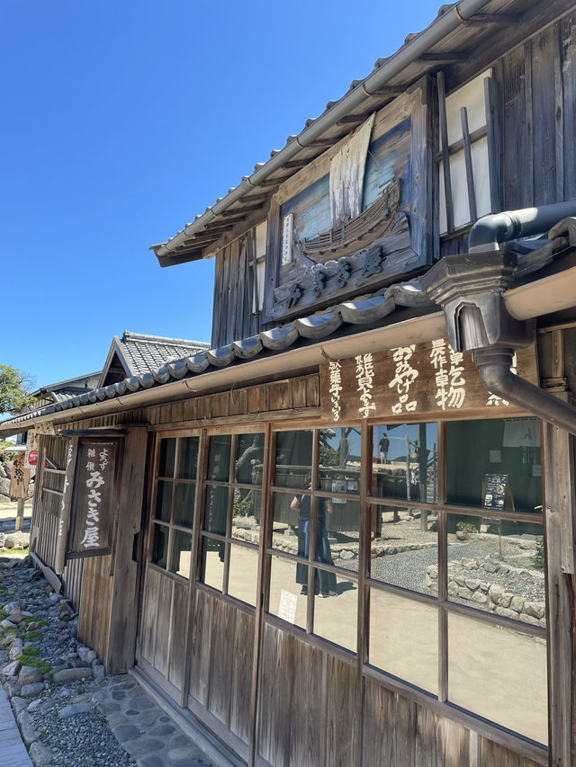 【小豆島】  日本映画、文学のテーマパーク  1500本のひまわり