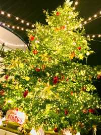 ✨横浜駅周辺で楽しむ!2025-2026 クリスマスめぐり🎄✨