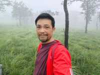 ชมทุ่งกะเจียวตัดกับพื้นสีเขียวที่ป่าหินงามยามฝน