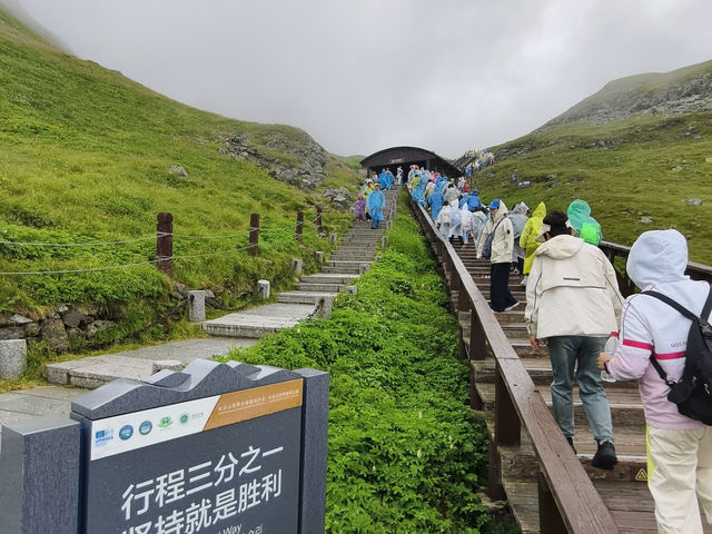 就算是下雨也是要衝上山一睹紅顏