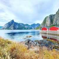 Experiencing the Magic of Hamnøy 