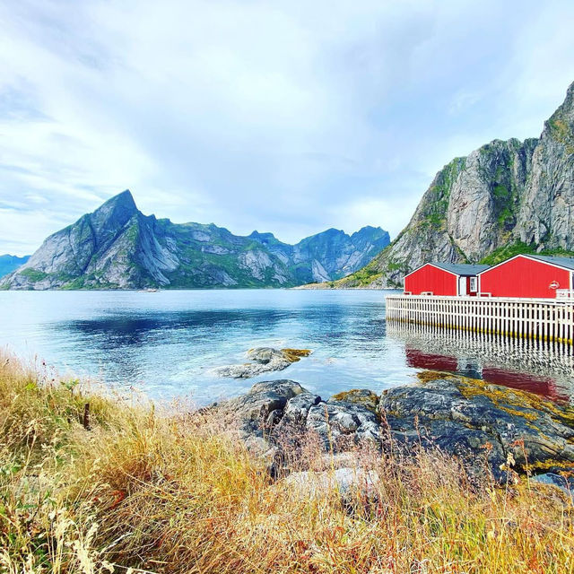 Experiencing the Magic of Hamnøy 