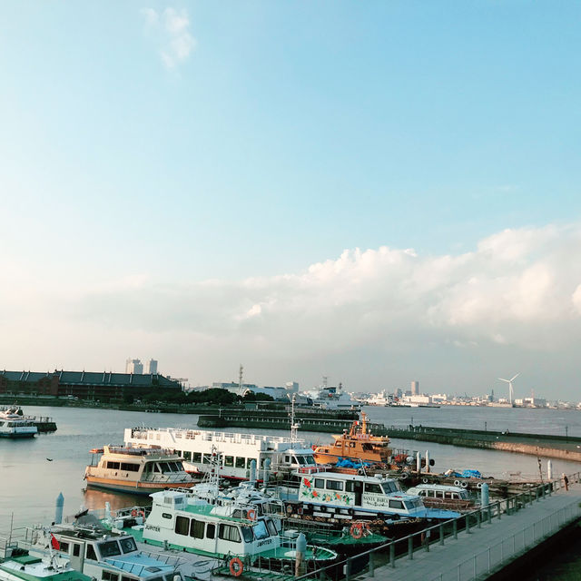 🚢横浜大さん橋に就航するクルーズ船と乗船方法 🚢横浜大さん橋に就航するクルーズ船と乗船方法