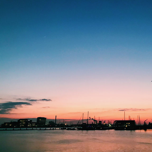 🇳🇱アムステルダム NDSMワーフで夕焼け散歩＆ディナー体験