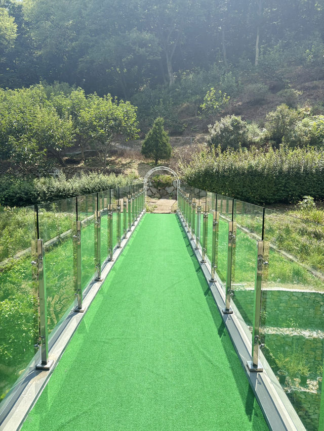 🌲파노라마 숲이 보이는 브런치 카페 반려견 동반가능🐶