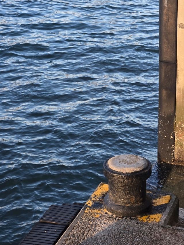 陽光下的繁華都市探索🌅🎡黃昏時分的中環碼頭