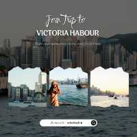 🌤️ Victoria Harbour & Tsim Sha Tsui Promenade