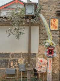 🌿 Baisha Ancient Town – A Haven for Slow Souls 🌿