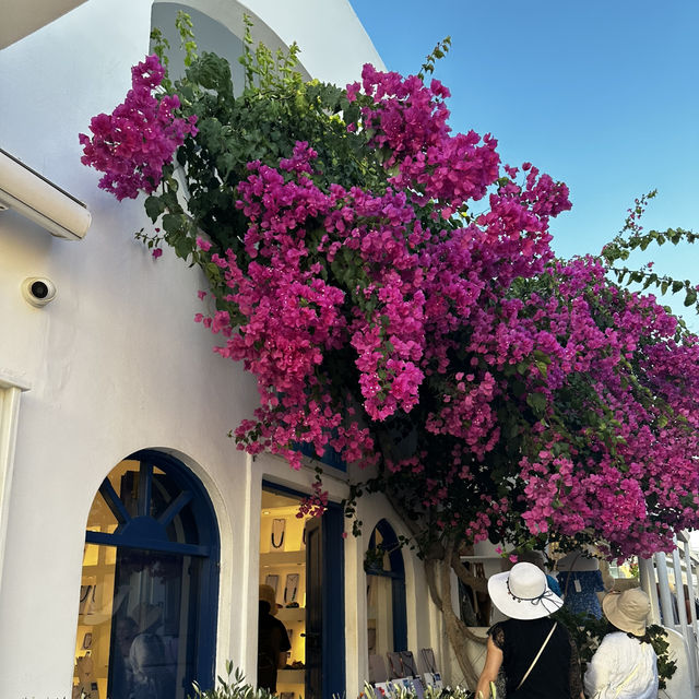 🌅 Oia, Santorini – Sunset Dreams on the Cliffside