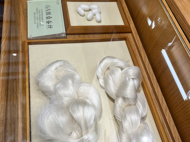 🧵 Suzhou Silk Museum — Dive into China’s Silk Legacy