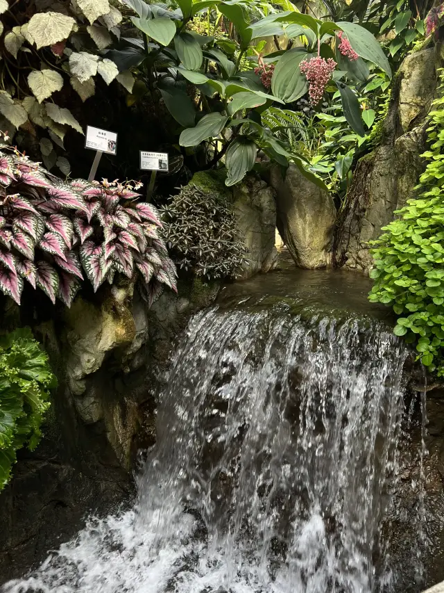 香港公園霍士傑溫室