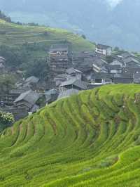 The Dragon’s Spine: Carving Beauty from the Land