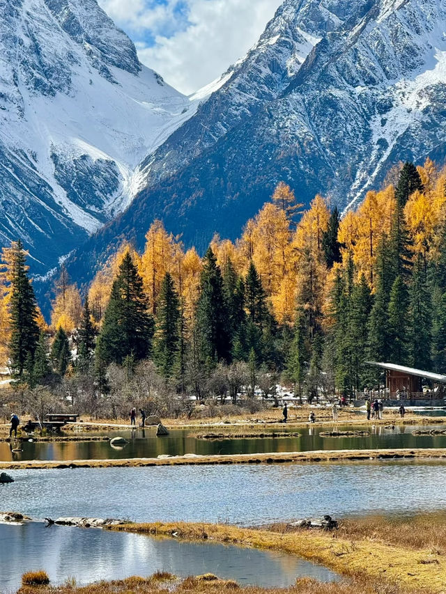 Golden Autumn Views🍂