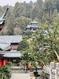 《木府：麗江古城的靈魂殿堂》 