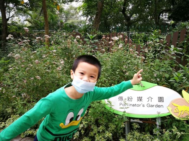 香港城市綠洲賞花之旅🌸香港動植物公園