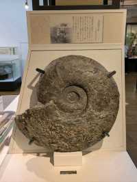 NATIONAL MUSEUM OF NATURE AND SCIENCE.
