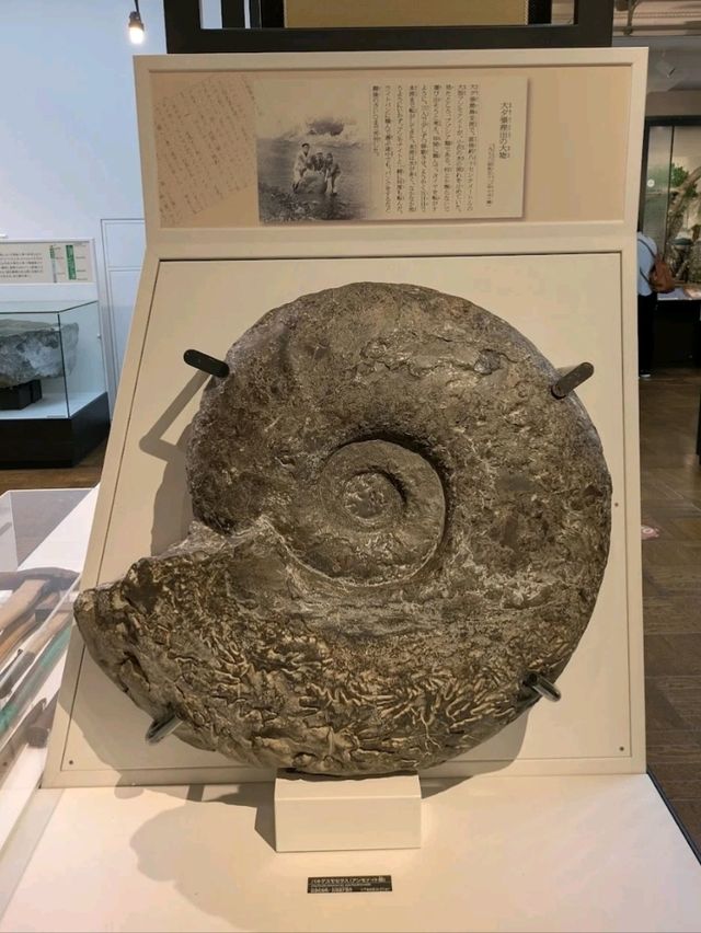 NATIONAL MUSEUM OF NATURE AND SCIENCE.