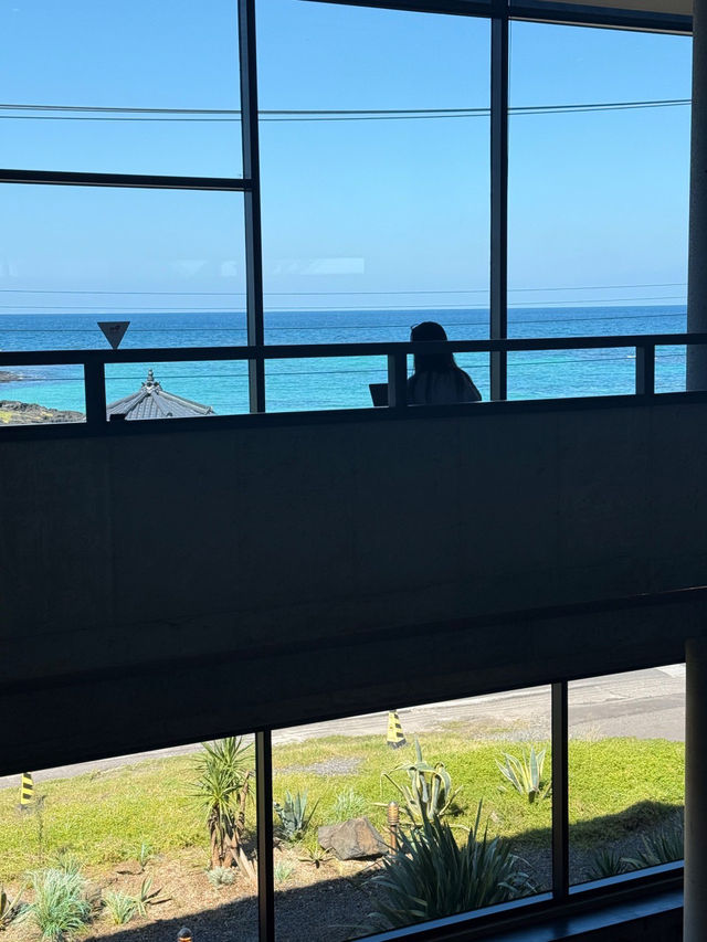 🌼제주 오션뷰 신상 대형 카페 레이오버 