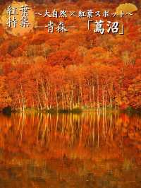 旅行前に見て】観光攻略付‼️早朝の森で 出会う息をのむ「鏡紅葉」の燃えるような絶景🍁✨