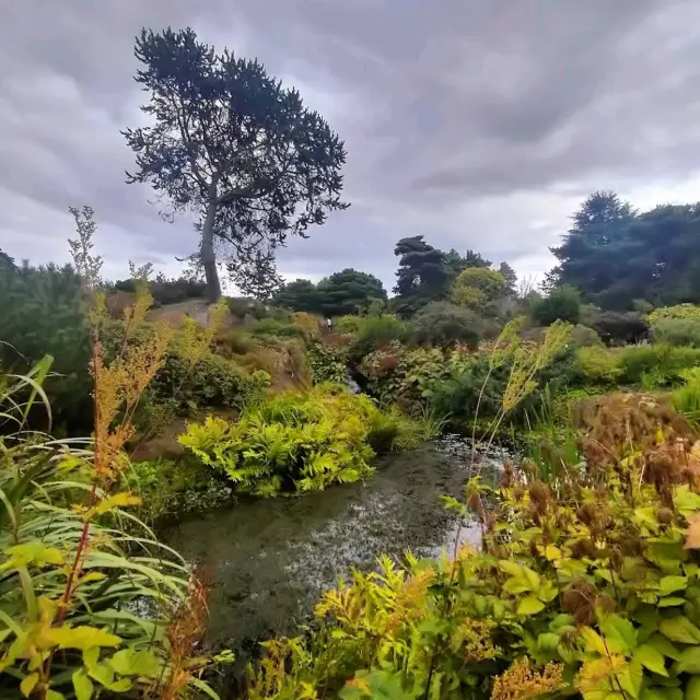 Royal Botanic Garden Edinburgh