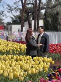 Tulip Festival Fun🎉