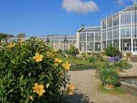 Pillnitz Castle