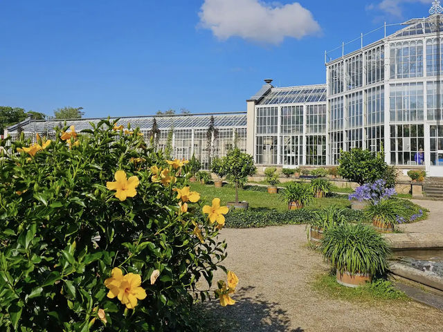 Pillnitz Castle