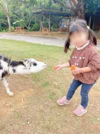 【沖縄】ビオスの丘